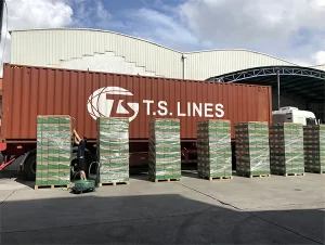 honeycomb activated carbon loading